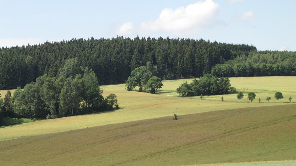 Hormersdorf Stollenklause公寓 外观 照片