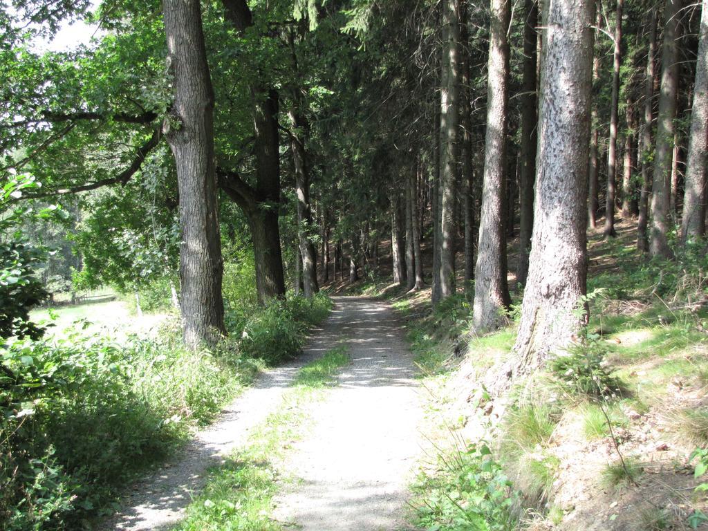 Hormersdorf Stollenklause公寓 外观 照片