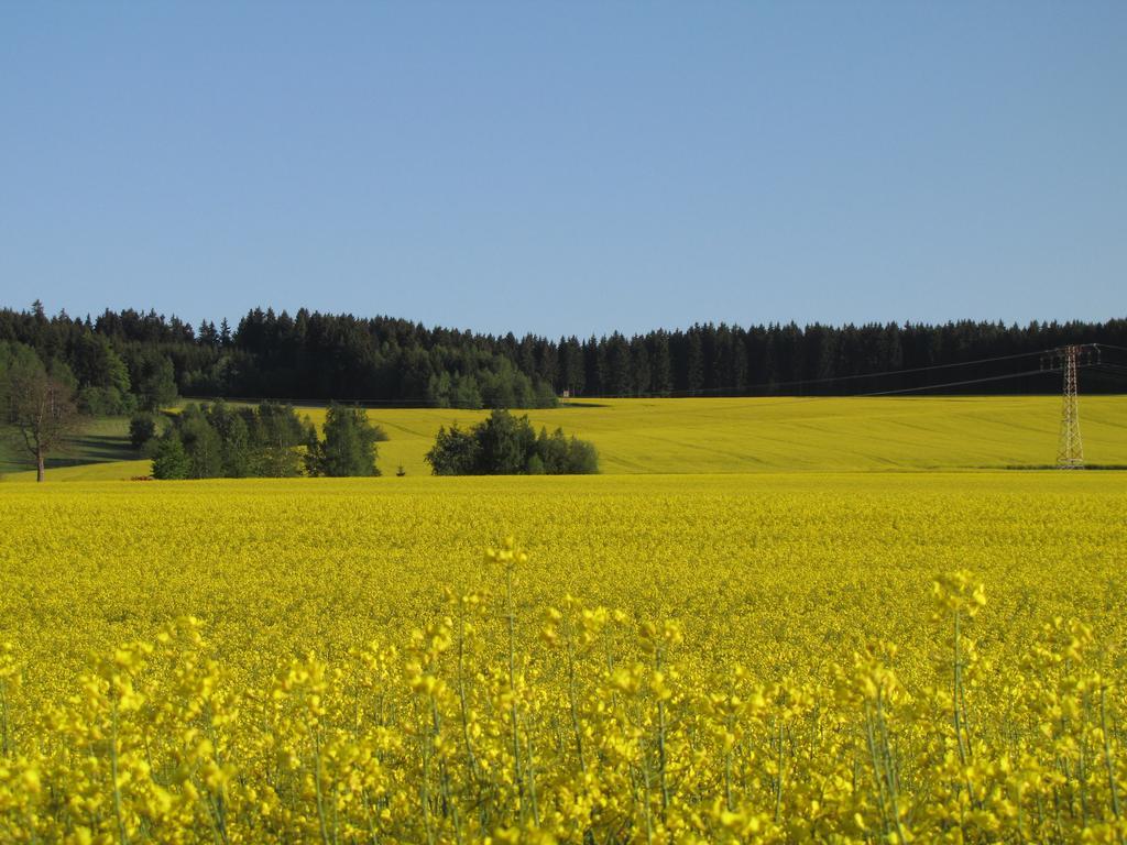 Hormersdorf Stollenklause公寓 外观 照片